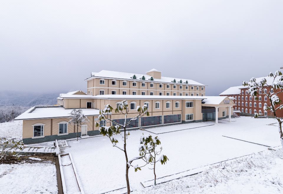 Maple Tourist Hotel Over view