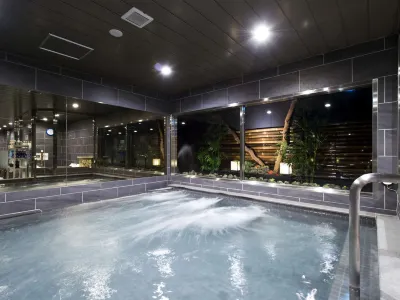 Anshin Oyado Shinjuku Ekimaeten Hotels in Tokio