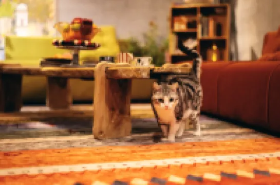 M Panda Tower Boutique Chengdu