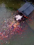 Gexian Village Resort Moon Dyeing Xianju Hotel Hotels in Yanshan