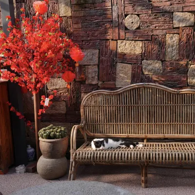 South Street Old Carp