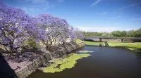 APX Parramatta - vue sur la montagne