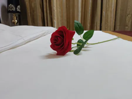 Aitelai International Hotel Отели в г. уезд Синъань