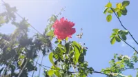 Makorn Nonkleng Hotel a Khuan Krot