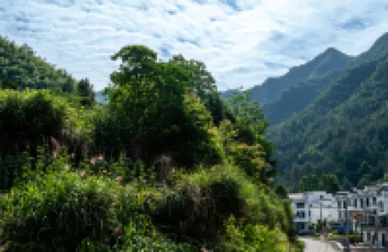 Shanshui Yunju Homestay (Guniujiang Scenic Area)