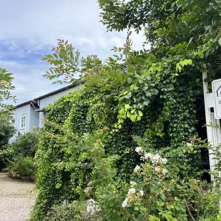 Bann Kam B&B