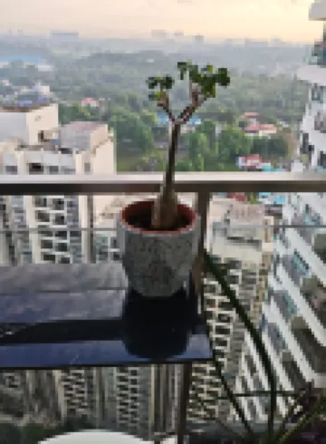 City Center, beach, dining and shopping, WIFI, 3 bedroom and 3 bathrooms