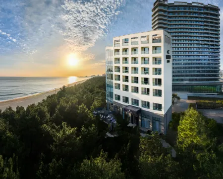 Hound The Blue Hotels in Gangneung-si