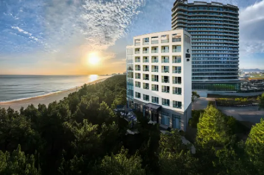 Hound The Blue Hotels in Gangneung-si