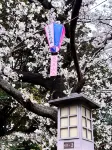 Ikebukuro Free Pickup Ueno 14 mins Nippori 10 mins Entire property Up to 7 guests A