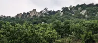 石語山居民宿（蒙山人家景區店） - 廚房