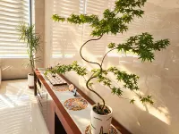 Dun Huang Fu Li Hua International Hotel - อ่างจากุชชี่