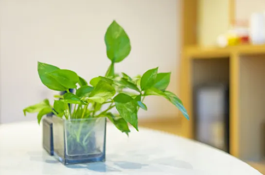 Hangzhou Lishe Hotel (Hangzhou East Railway Station) Freizeit und Erholung Photos