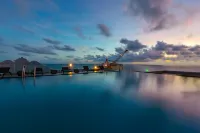 Night Sea Hotel