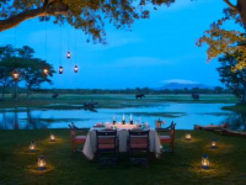 Cinnamon Lodge Habarana Hotels in Habarana