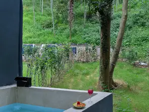 Migliori 3 B&B Boutique a Wuyi