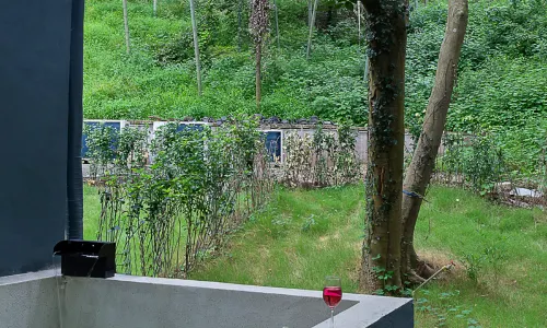 Floral Hotel·Wuyi Shandu Ancient Ship Wood Hot Spring Hotel