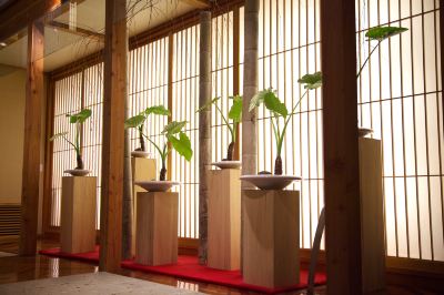 共有エリア 草津温泉望雲の写真