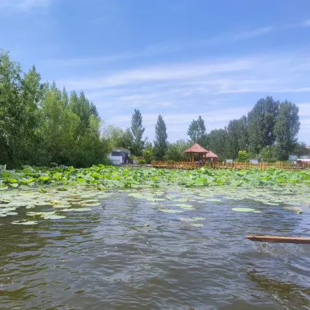 Baiyangdian Huaxi Homestay