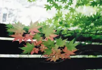 Karuizawa Forest Seasons Villa - maisons de vacances