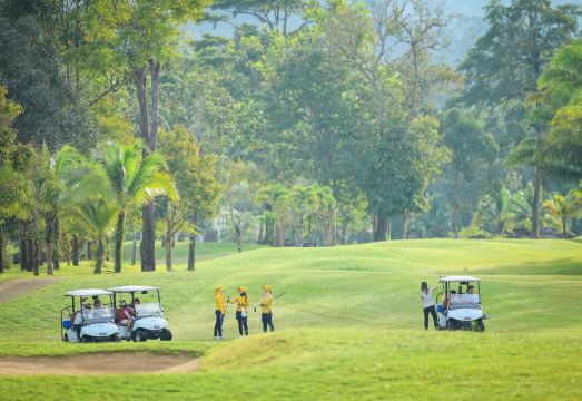 4. 카타통 골프 &..