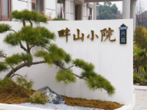 川嵐·畔山小院民宿（岳陽中華大熊貓苑店） - 山景