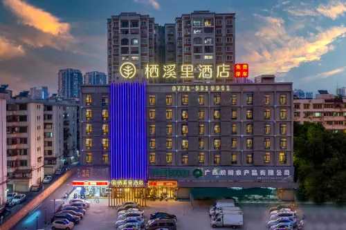 Qixili Hotel (Nanning Pingxi Night Market Pavilion Wharf)