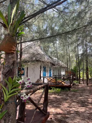 Dugong Bay - Làng Am Thuc & Sinh Thai - Eco & Seafood Village Hotels in Hàm Ninh