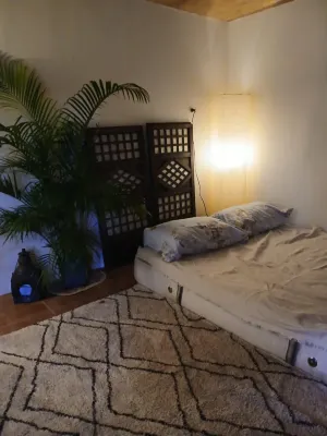 Calamansi Garden- Tropical Island Home w/ Starlink Hotels near General Luna Beach