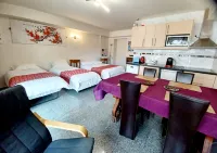 Family studio with AC, parking, terrace 600m RER B, direct to ND of Paris