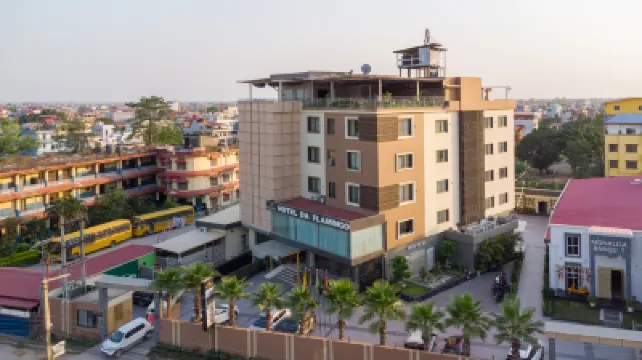 Hotel Da Flamingo Hotels in 