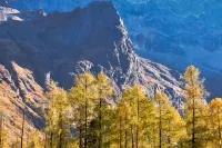 Mushan Bieshe · Travel Tranquil Boutique Stay (Siguniang Mountain) - 2 ดาว