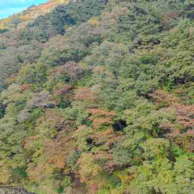 坂聖・那須塩原 Others