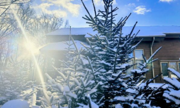 ChangBai Mountain Pine&Birch Villa