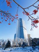 Hyatt Regency Changchun