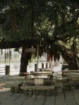 Fan Hua Yijing Hot Spring Hotel (Fogang Tangtang Store) - 絶景