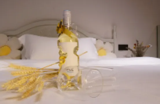 HELLO Sea View Hotel (Sunshine Coast Store)