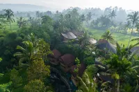 Aura Cendana Hill Sidemen by AGATA