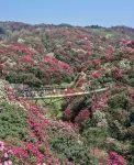 TuoHaiMeiYue Hotel - Scenic