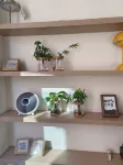 巷往民宿 - Wi-Fi
