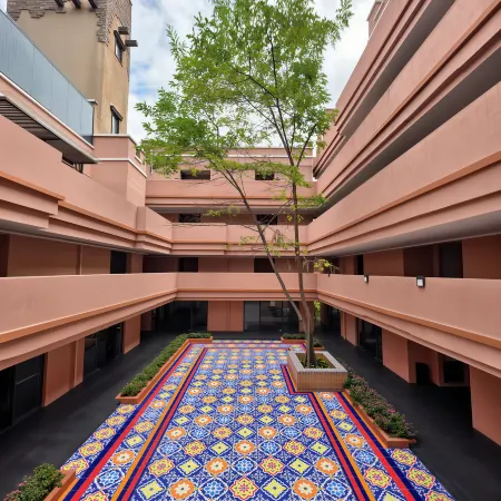 Phoenix Suji · Linyin Courtyard Homestay