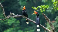 Pondok Wisata Eco village Malagufuk - parking