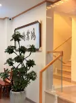 Yunchao Chinese Inn - New