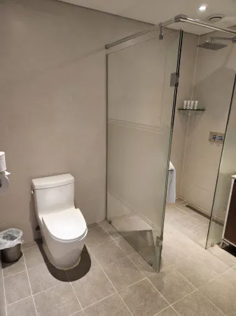 The Recenz Dongdaemun Hotel