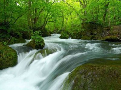 ホテル周辺 星野リゾート 奥入瀬渓流ホテルの写真