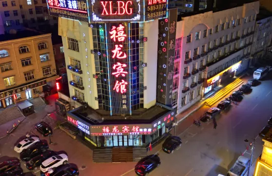禧龍賓館（虎林站前街店）