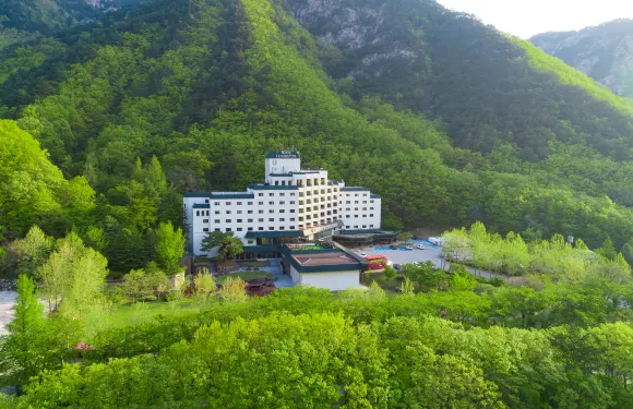 雪岳山肯辛頓酒店