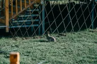 昭蘇望湖マナーハウスリゾートエリア