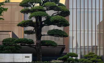 Park Hyatt Suzhou