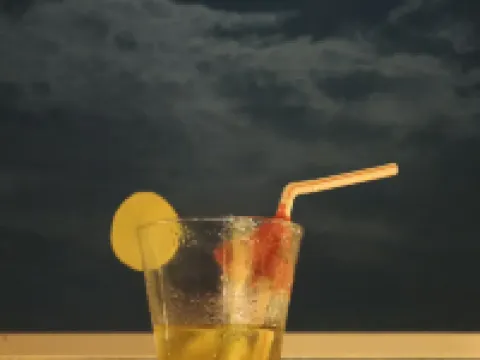 Hotel Lake Star Bistro Hotels in Udaipur